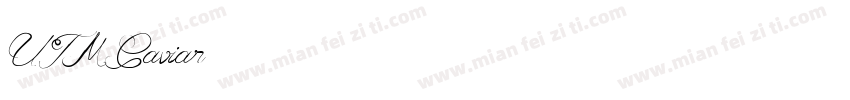 UTM Caviar字体转换